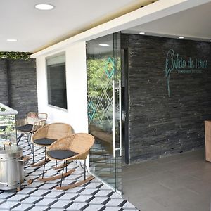 Hostel Boutique Nido De Loros